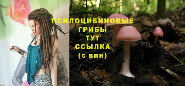 тгк Усинск